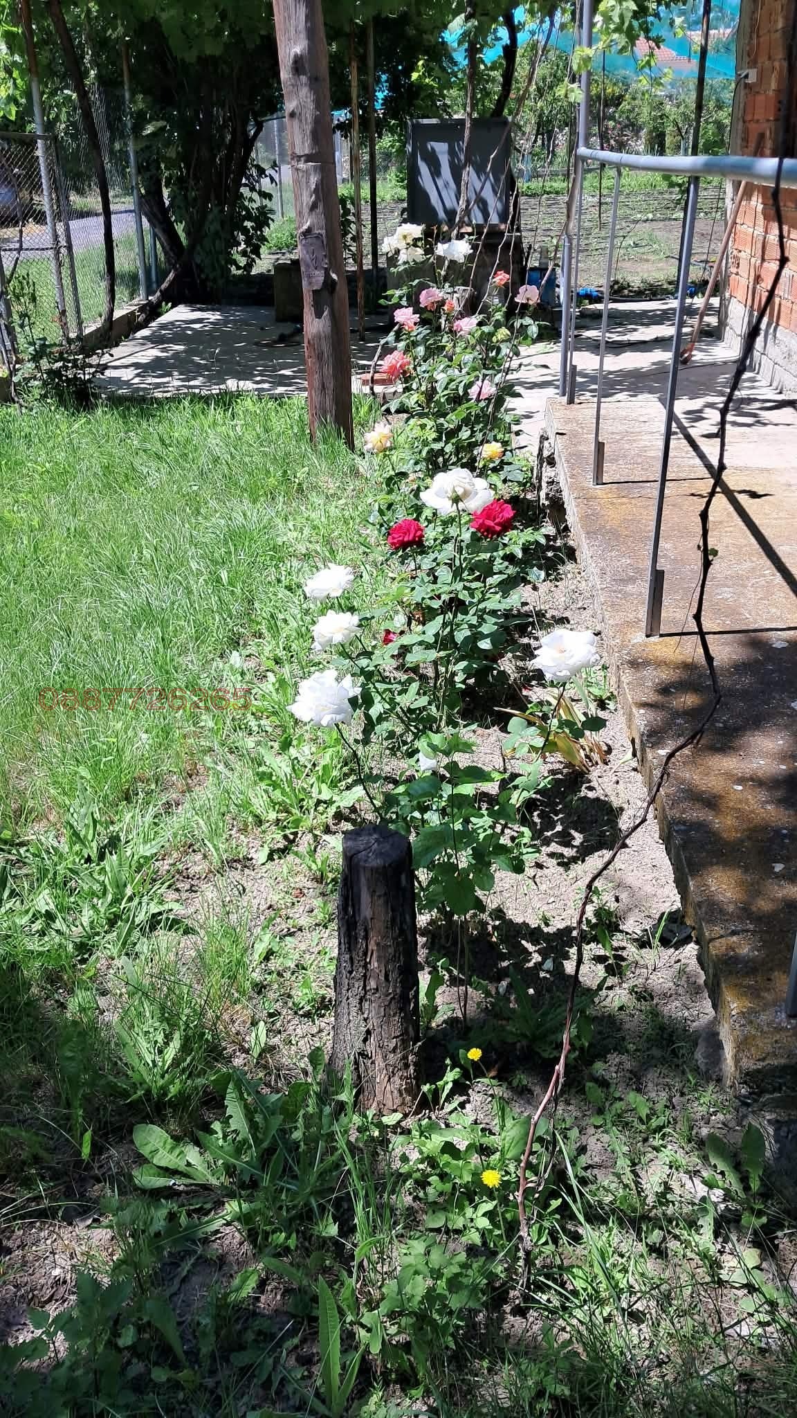 Продава КЪЩА, с. Караново, област Сливен, снимка 5 - Къщи - 54117512