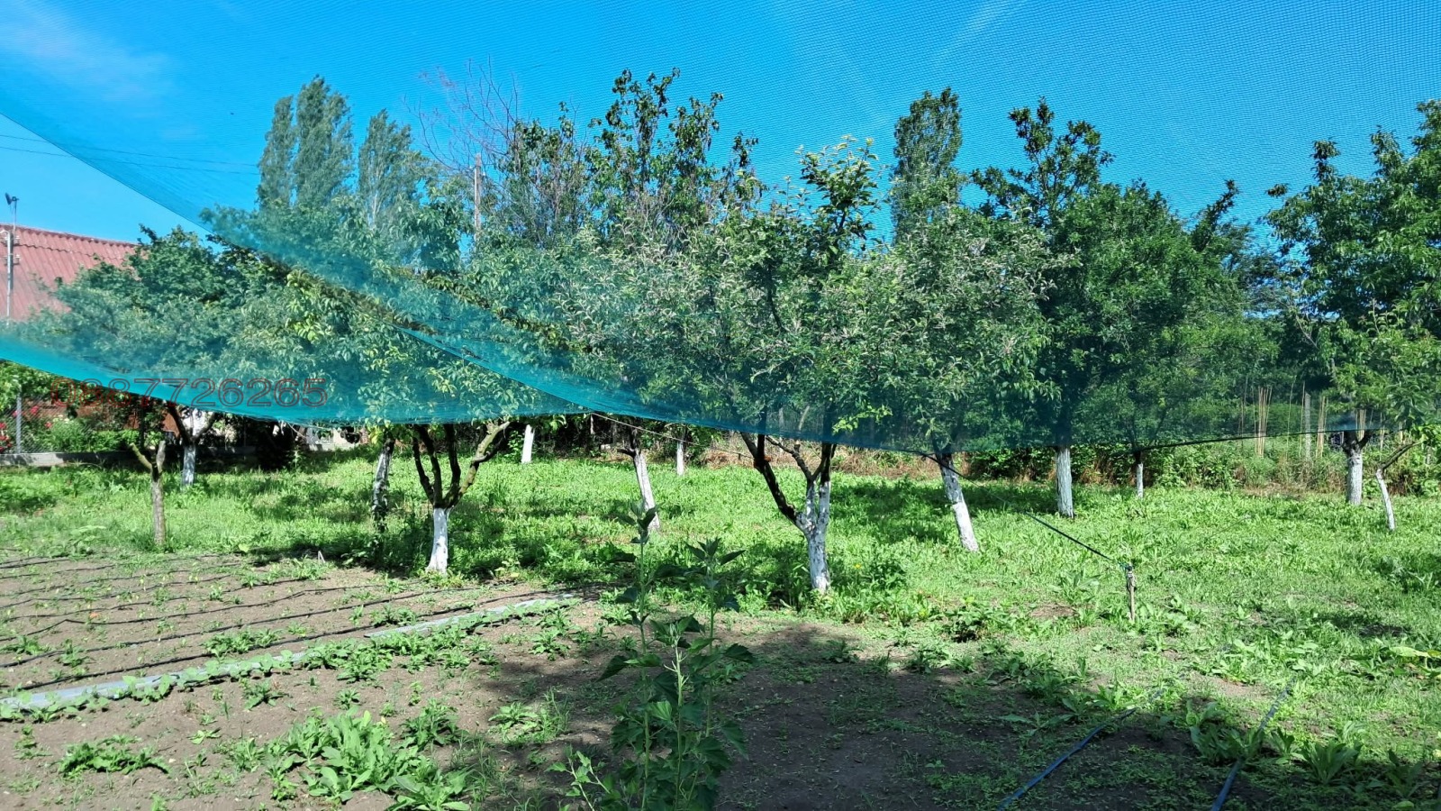 Продава КЪЩА, с. Караново, област Сливен, снимка 8 - Къщи - 54117512