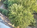 Продава 3-СТАЕН, град Кюстендил, Запад • 80000 € / 156466.40 лв. • 96494556 5