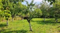 Продава КЪЩА, област Сливен, с. Караново • 59000 € / 115393.97 лв. • 68408966 11