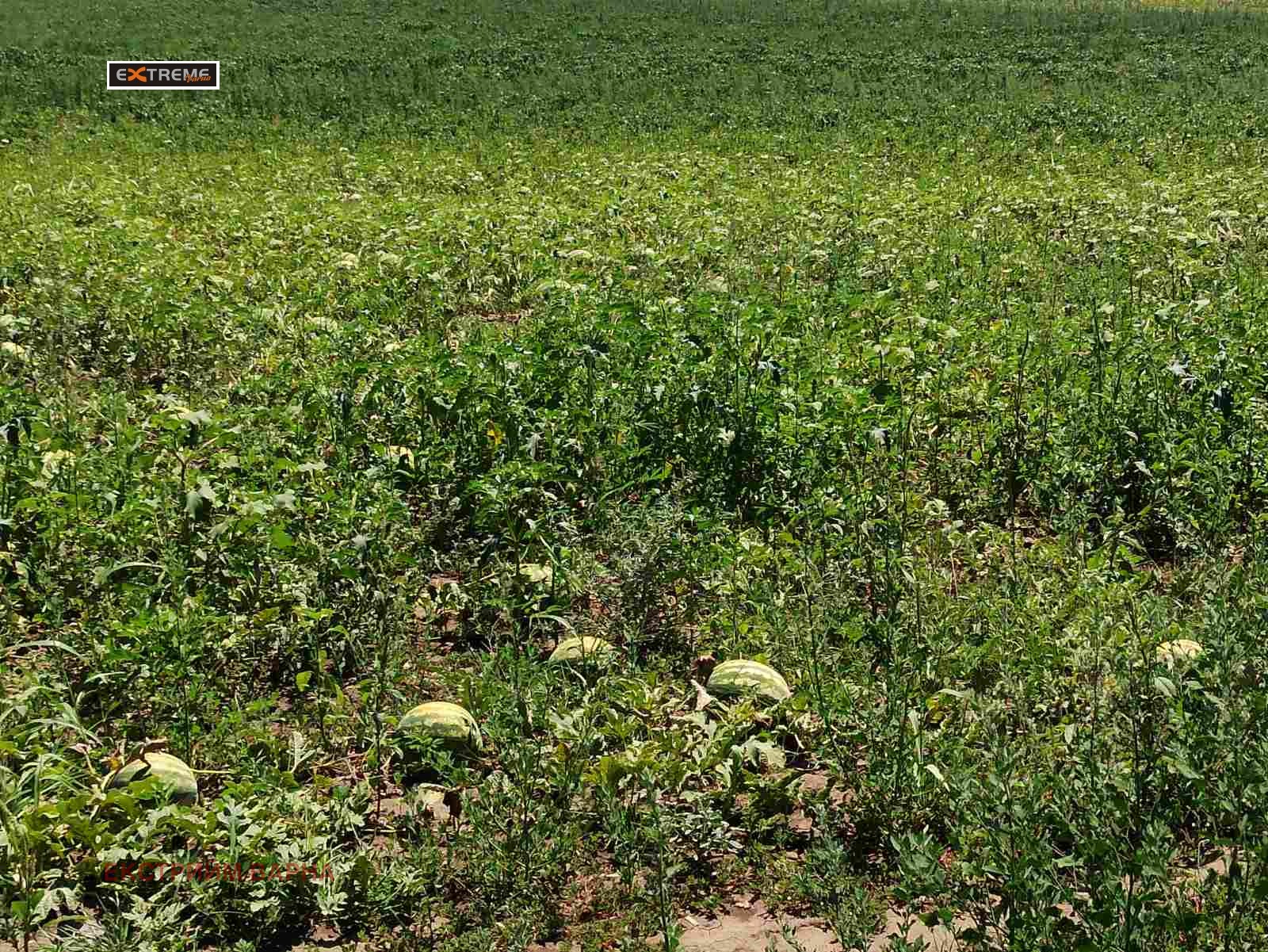 Продава КЪЩА | Imot.bg — изображение 15