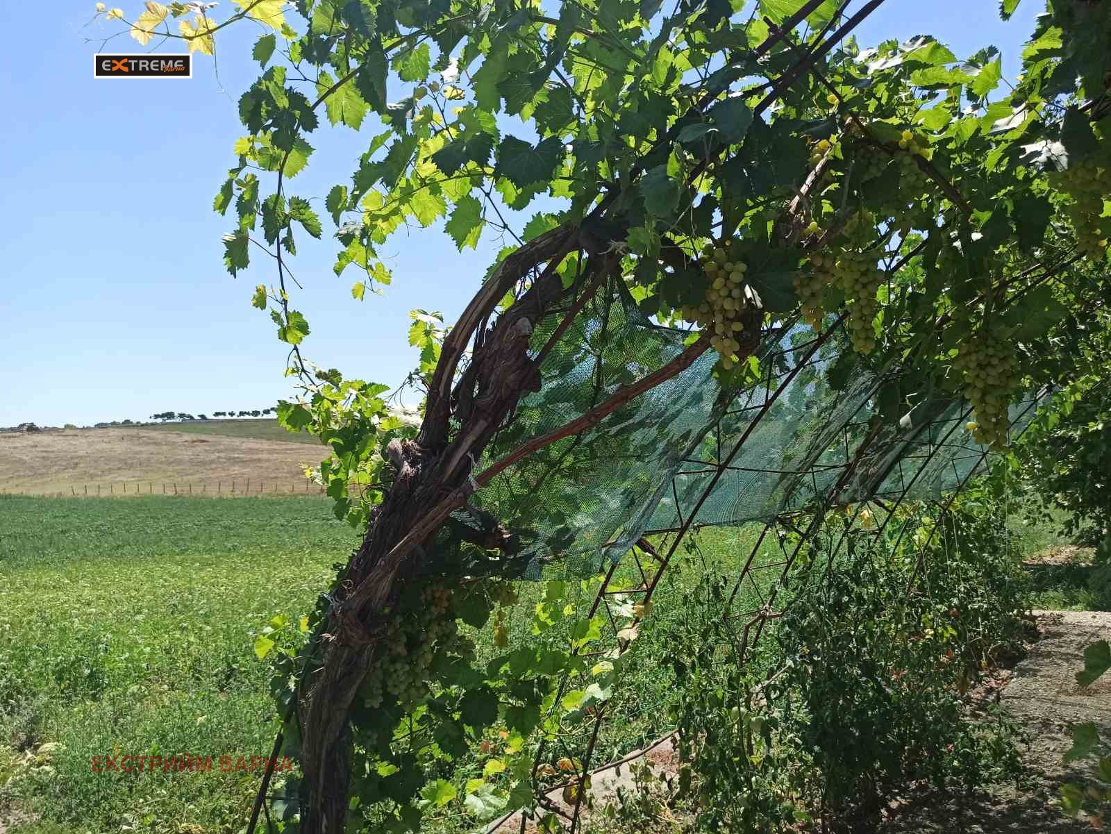 Продава КЪЩА | Imot.bg — изображение 16