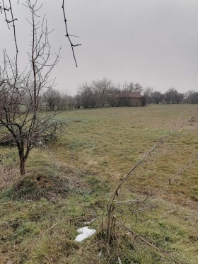 Grund Fazanovo, region Burgas
