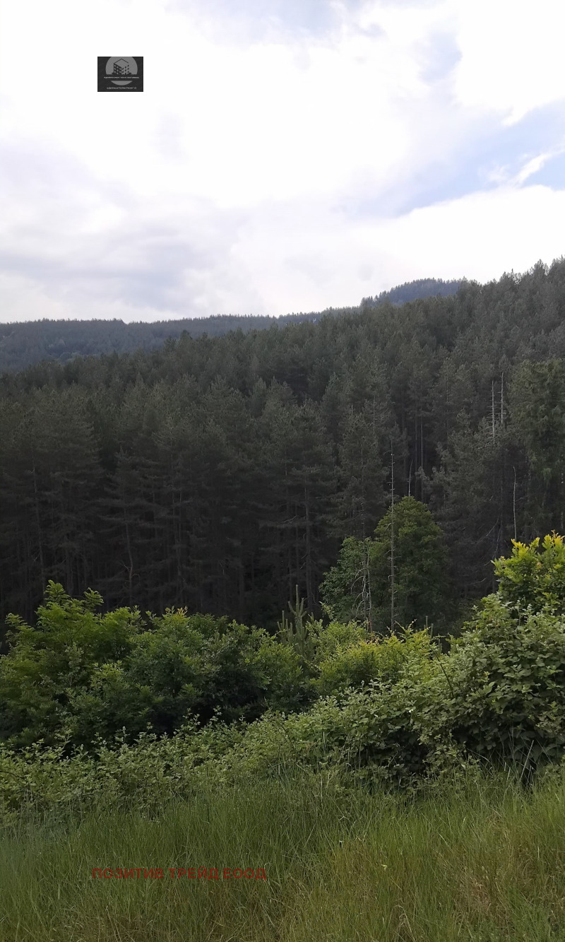 De vânzare  Complot Ciustendil , Colușa , 800 mp | 20766951