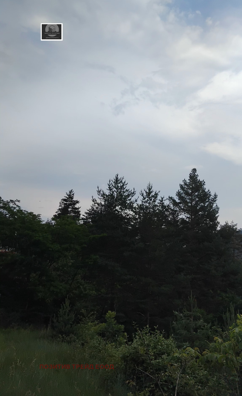 De vânzare  Complot Ciustendil , Colușa , 800 mp | 20766951 - imagine [3]