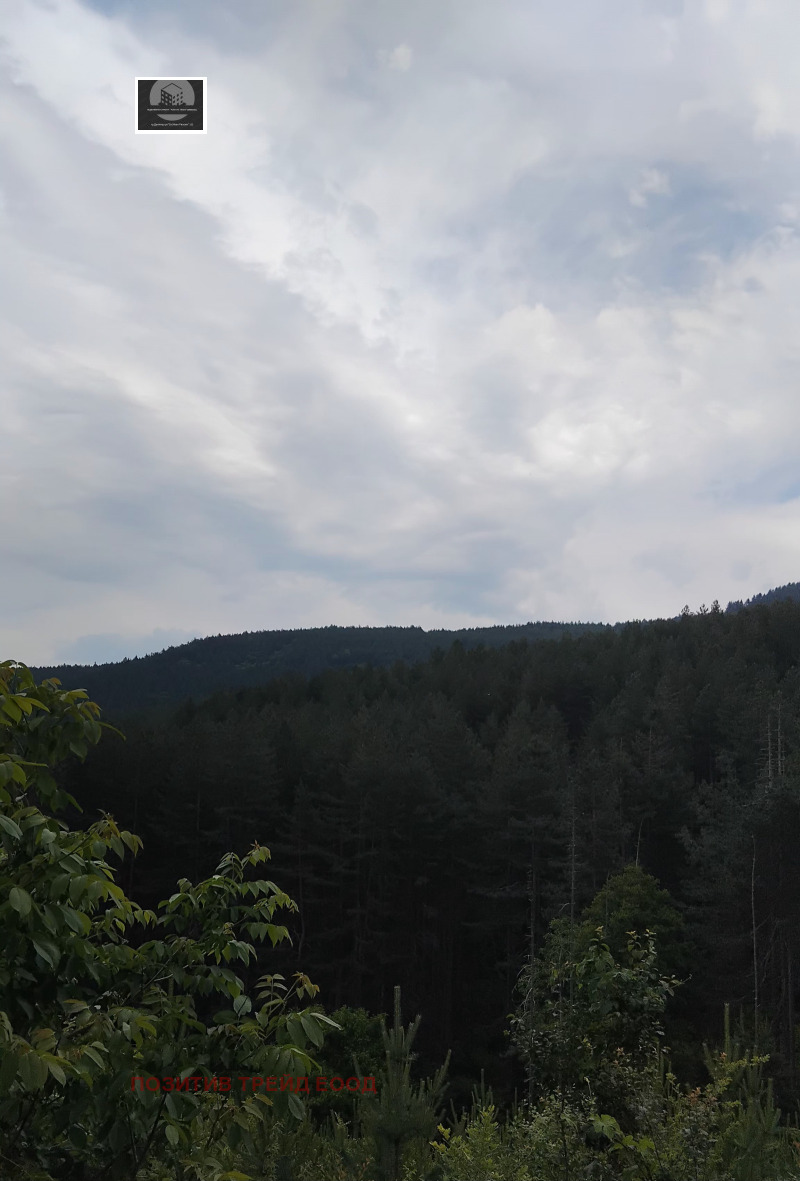 De vânzare  Complot Ciustendil , Colușa , 800 mp | 20766951 - imagine [2]