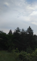 Продава ПАРЦЕЛ, гр. Кюстендил, Колуша, снимка 2