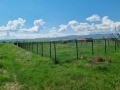 Продава ПАРЦЕЛ, с. Лесново, област София област, снимка 2