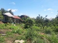 Продава ПАРЦЕЛ, с. Стрелци, област Пловдив, снимка 1