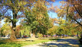 1 спальня Сухата река, София 11