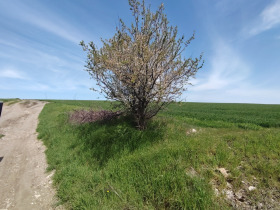 ������� ������ | Imot.bg � ����� ������ 3