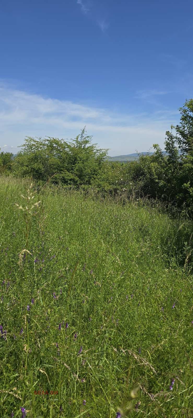Eladó  Cselekmény régió Pernik , Kondofrej , 1237 négyzetméter | 96826796 - kép [2]