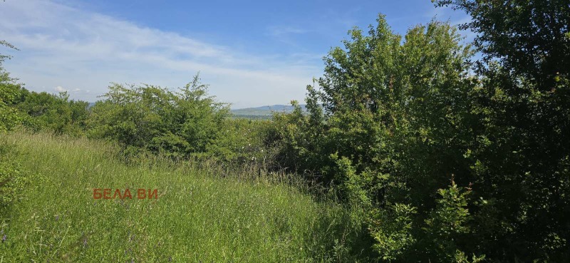 Eladó  Cselekmény régió Pernik , Kondofrej , 1237 négyzetméter | 96826796