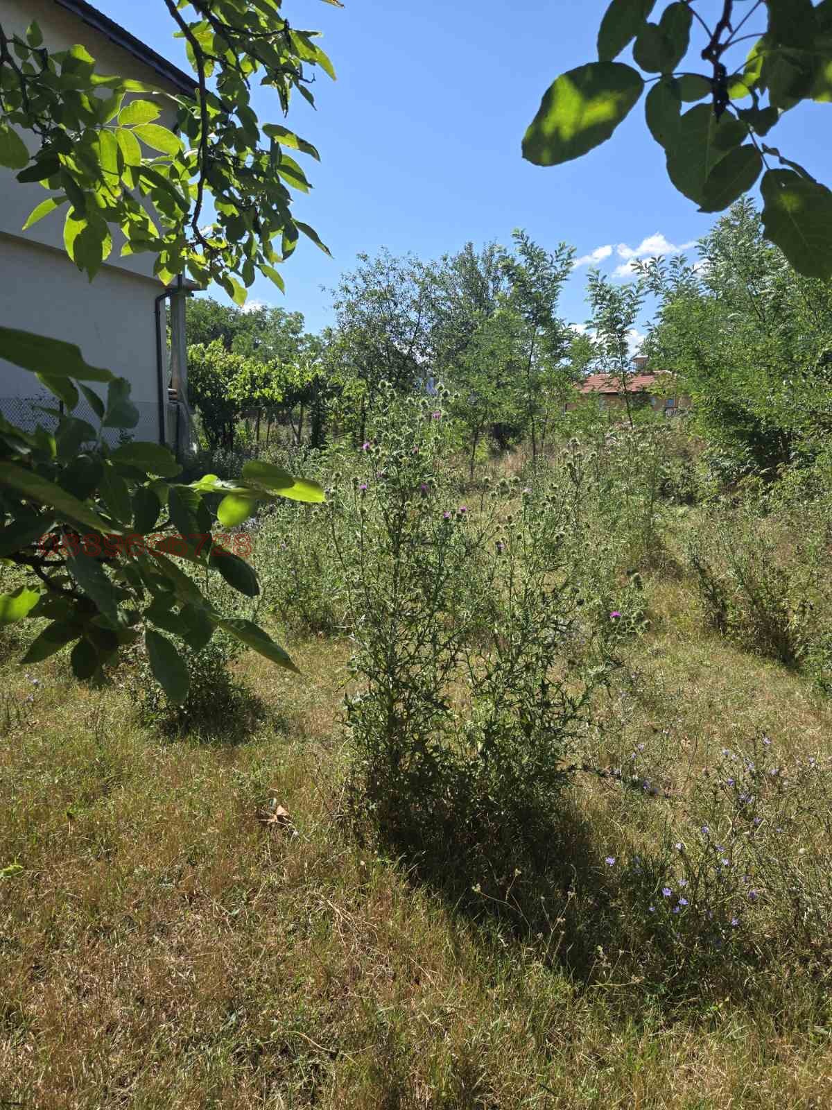 Продава ПАРЦЕЛ, с. Опицвет, област София област, снимка 3 - Парцели - 55990816