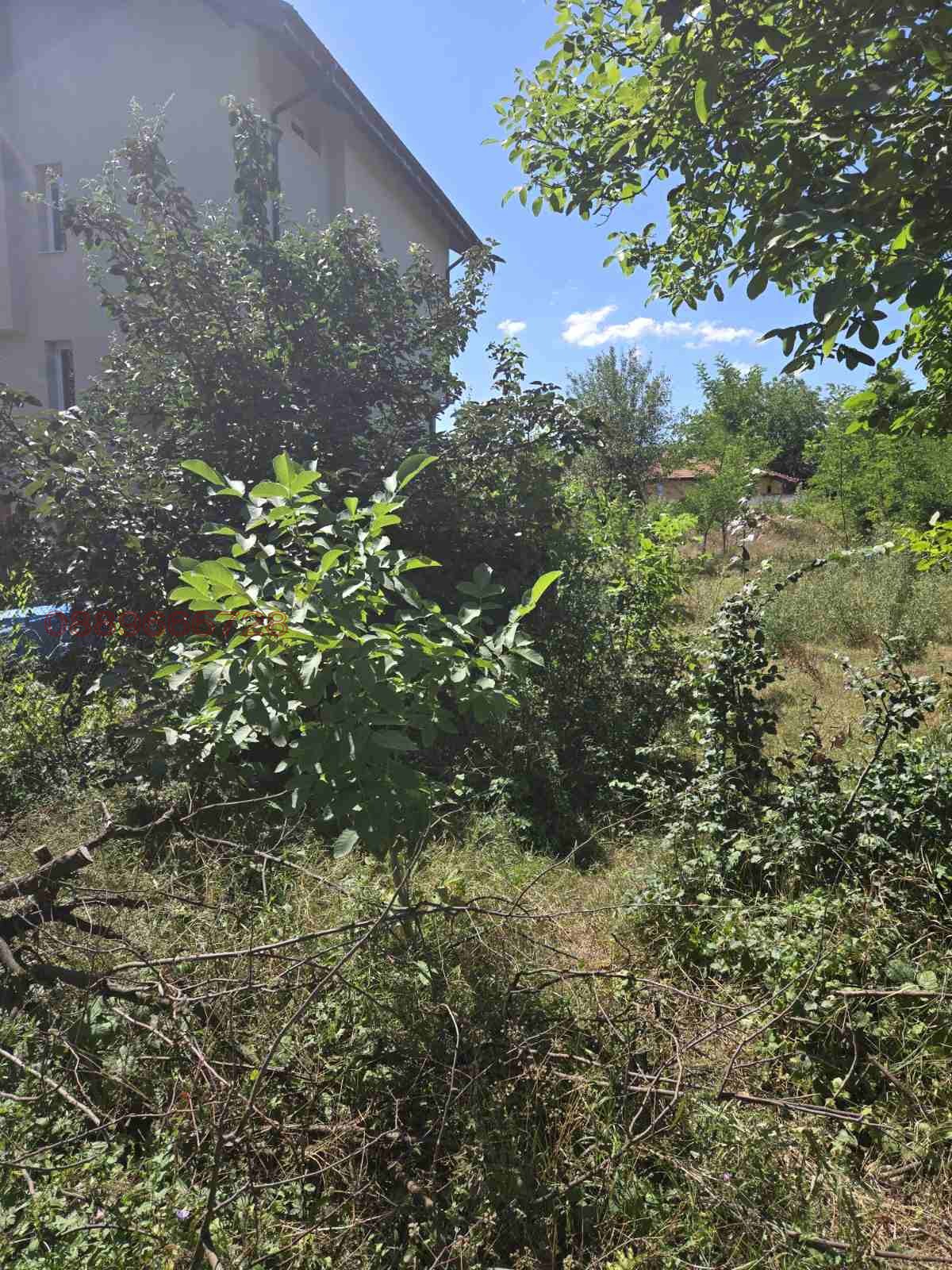 Продава ПАРЦЕЛ, с. Опицвет, област София област