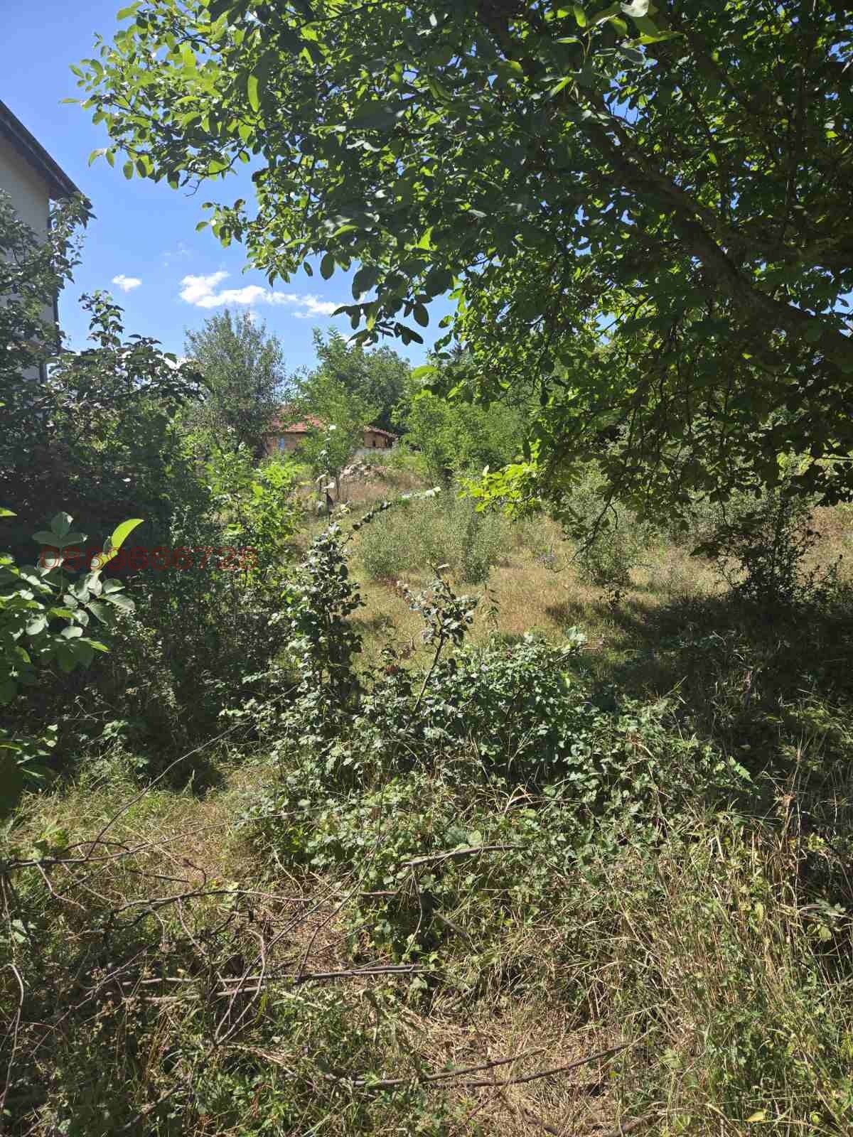 Продава ПАРЦЕЛ, с. Опицвет, област София област, снимка 6 - Парцели - 55990816