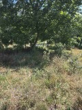 Продава ПАРЦЕЛ, с. Опицвет, област София област, снимка 4