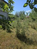 Продава  Парцел област София , с. Опицвет , 585 кв.м | 39270419 - изображение [3]