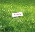 Продава ПАРЦЕЛ, област Пловдив, с. Царацово • 40000 € • 36745433 — Holmes.bg