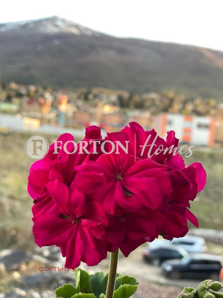 Продава 3-СТАЕН, гр. София, Манастирски ливади, снимка 4 - Апартаменти - 54829906
