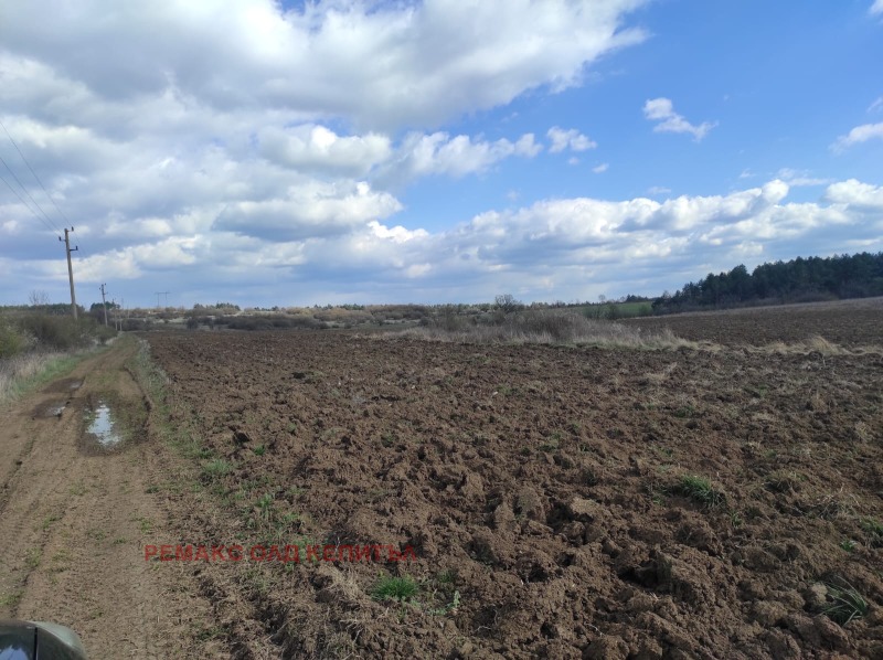 Продава  Земеделска земя област Велико Търново , с. Арбанаси , 6.513 дка | 83707679 - изображение [4]