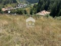 Продава ПАРЦЕЛ, област Смолян, с. Ягодина • 19990 € • 49445899 — Holmes.bg