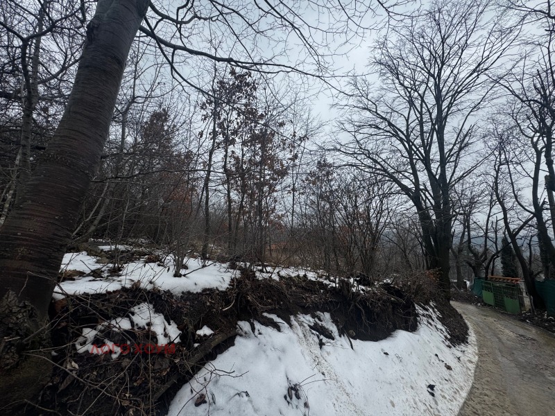 Продава ПАРЦЕЛ в град Варна, м-т Планова - 1200 кв.м / 72 000 € » 140 819.76 лв., ЛОГО ХОУМ