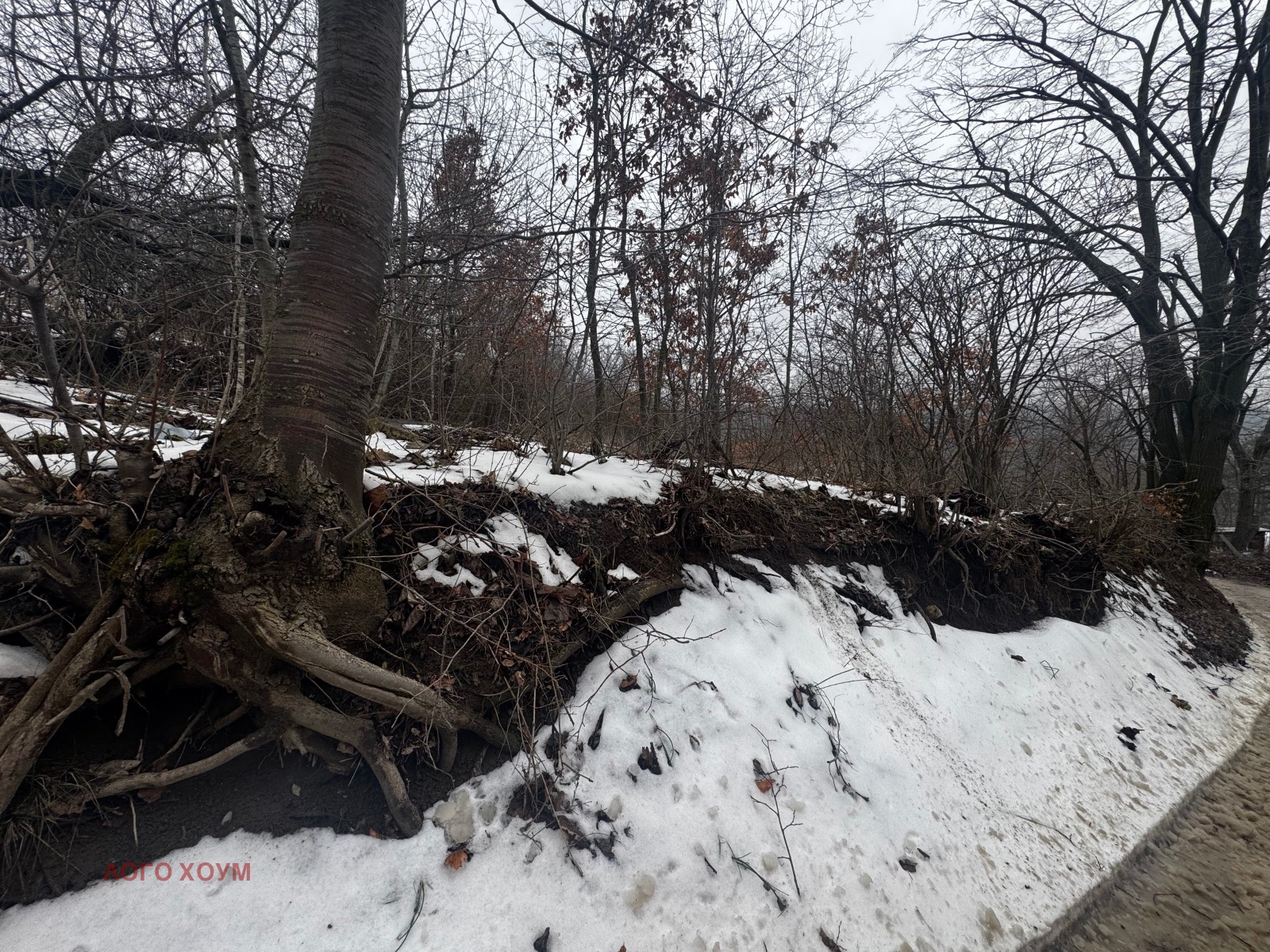 ������� ������ | Imot.bg � ����������� 2