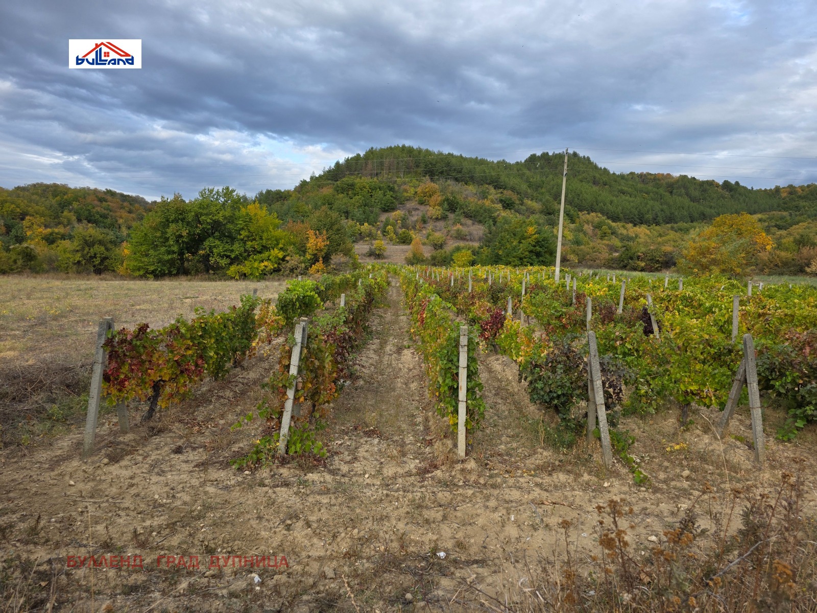 ������� ���������� ���� | Imot.bg � ����������� 2