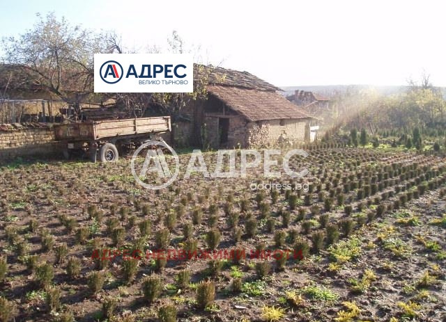 Продава КЪЩА, с. Стамболово, област Велико Търново, снимка 13 - Къщи - 55057528