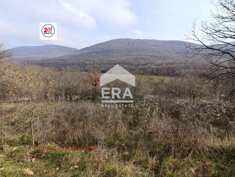 Продава КЪЩА, с. Бял извор, област Стара Загора, снимка 3 - Къщи - 55898460