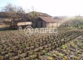 Продава КЪЩА, с. Стамболово, област Велико Търново, снимка 13