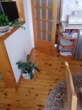 Продава 3-СТАЕН, град Пазарджик, Център • 170000 € • 57050138 — Holmes.bg
