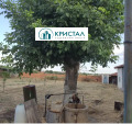 Продава КЪЩА, област Пловдив, с. Момино село • 115000 € / 224920.45 лв. • 98781957 5