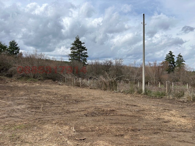 Продава ПАРЦЕЛ, м-т Мечката, област София област, снимка 3 - Парцели - 52974779