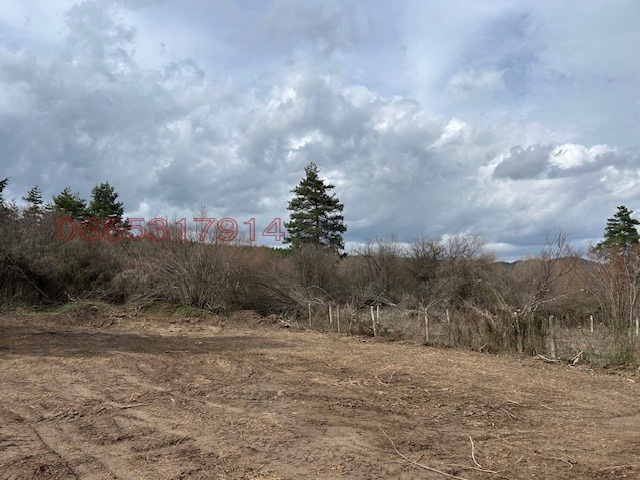 Продава ПАРЦЕЛ, м-т Мечката, област София област, снимка 11 - Парцели - 52974779