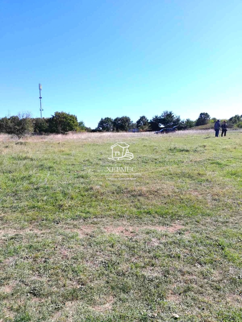 For Sale  Land region Burgas , Varvara , 2700 dka | 76255432 - image [2]