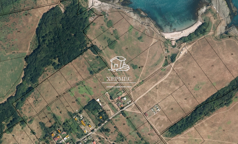 For Sale  Land region Burgas , Varvara , 2700 dka | 76255432 - image [6]