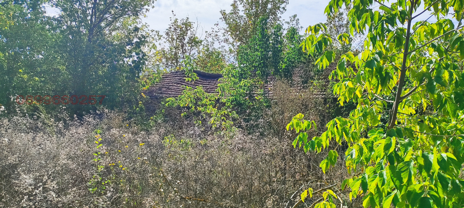 Продава КЪЩА, с. Медово, област Добрич, снимка 4 - Къщи - 56272319