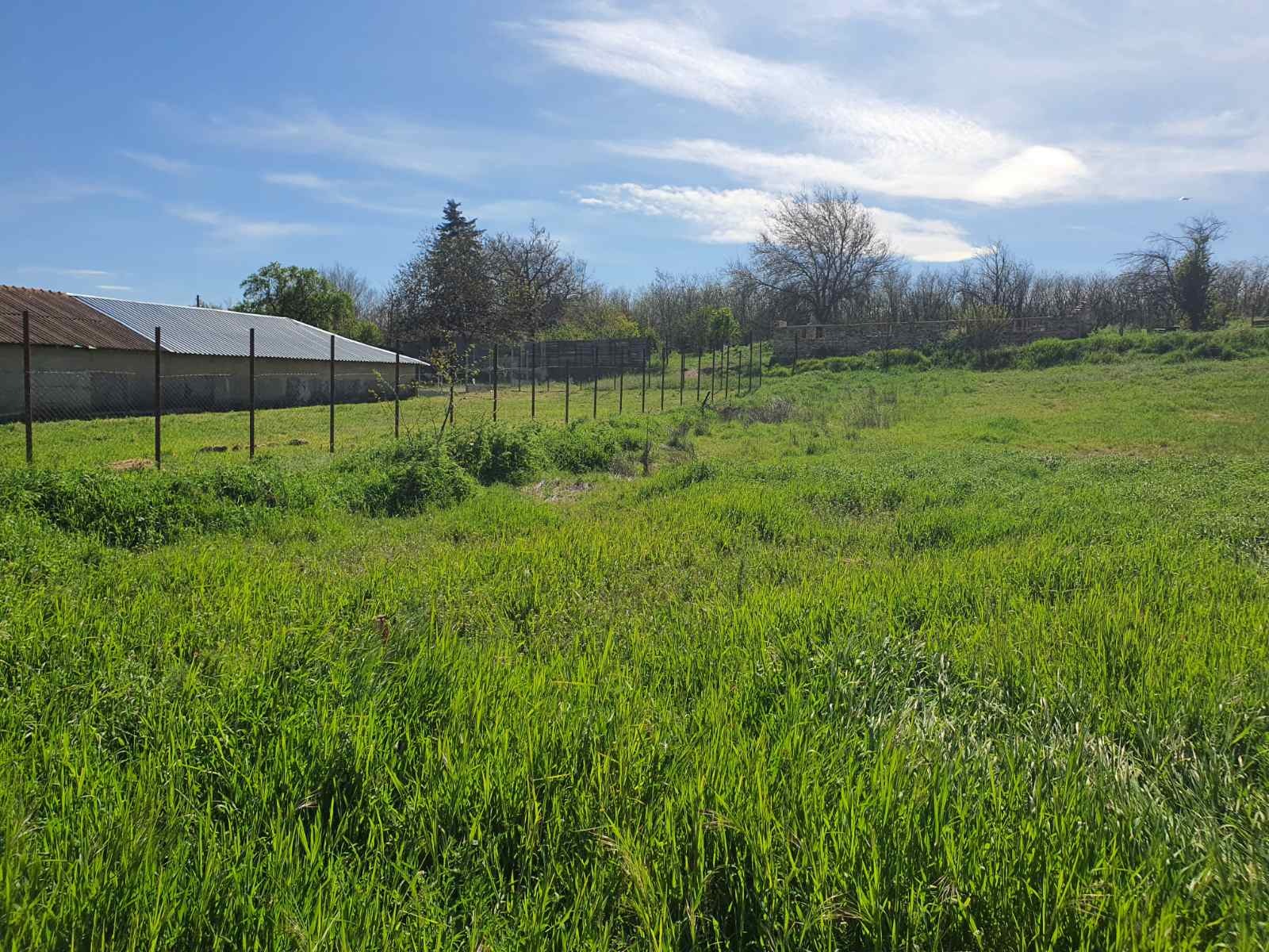 ������� ������ | Imot.bg � ����������� 8