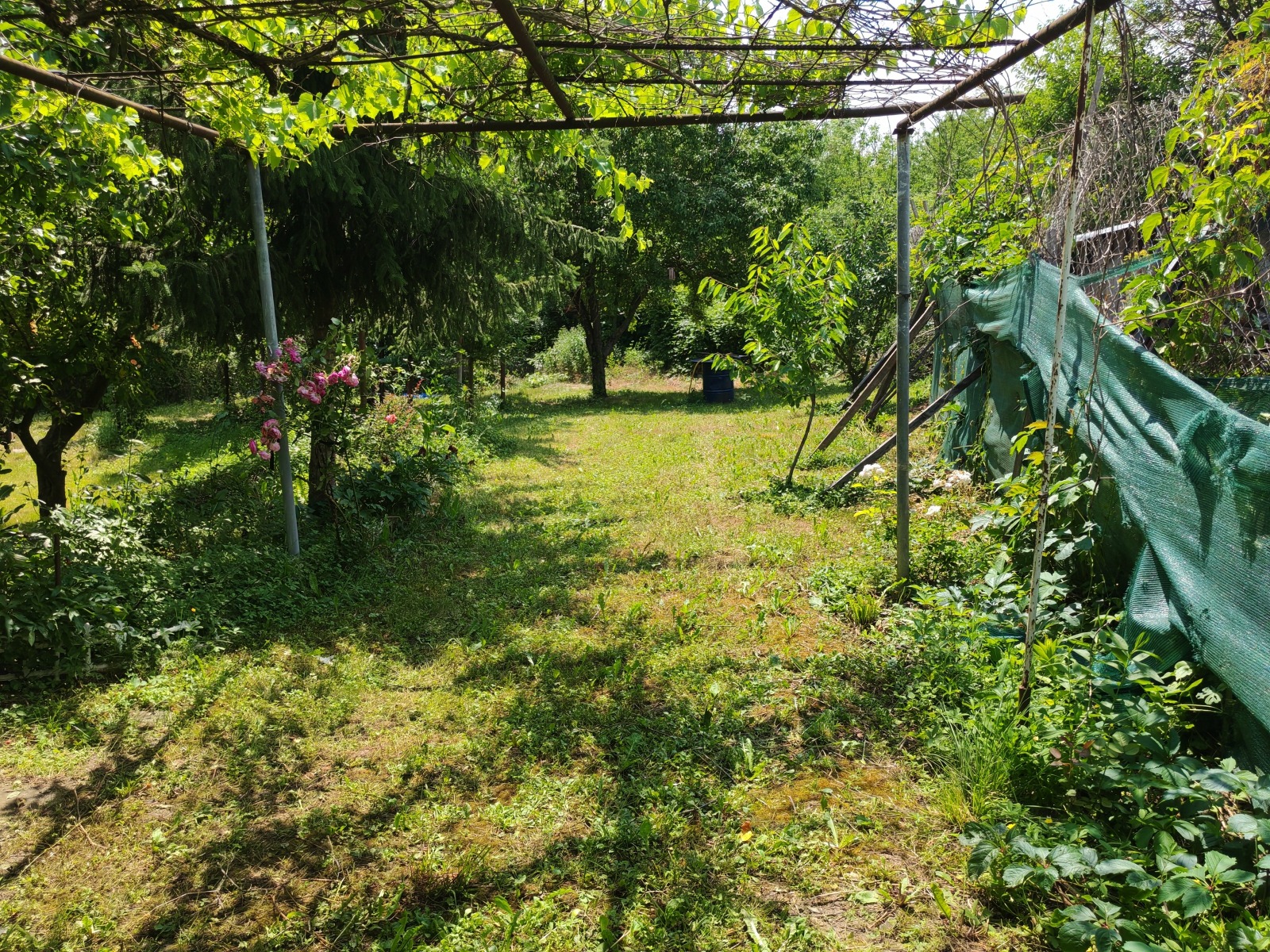 Продава КЪЩА, с. Бистрилица, област Монтана, снимка 15 - Къщи - 55000515