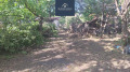 Продава ПАРЦЕЛ, област София, гр. Драгоман • 75000 € • 76148864 — Holmes.bg