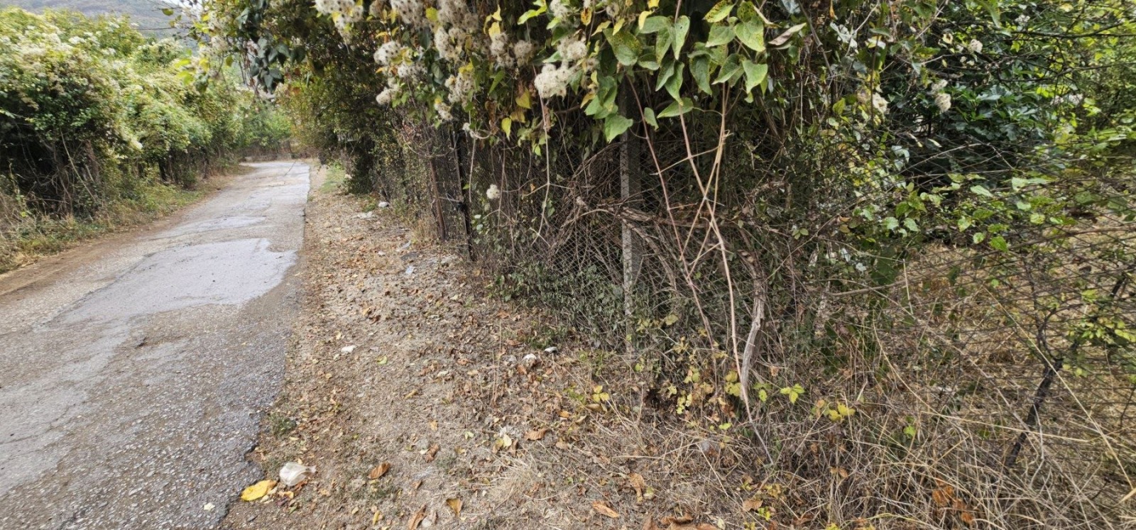 ������� ������ | Imot.bg � ����������� 3