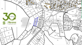 ����� ������� ������,�. �������, ������ �����