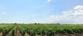Komplott Malina, region Burgas