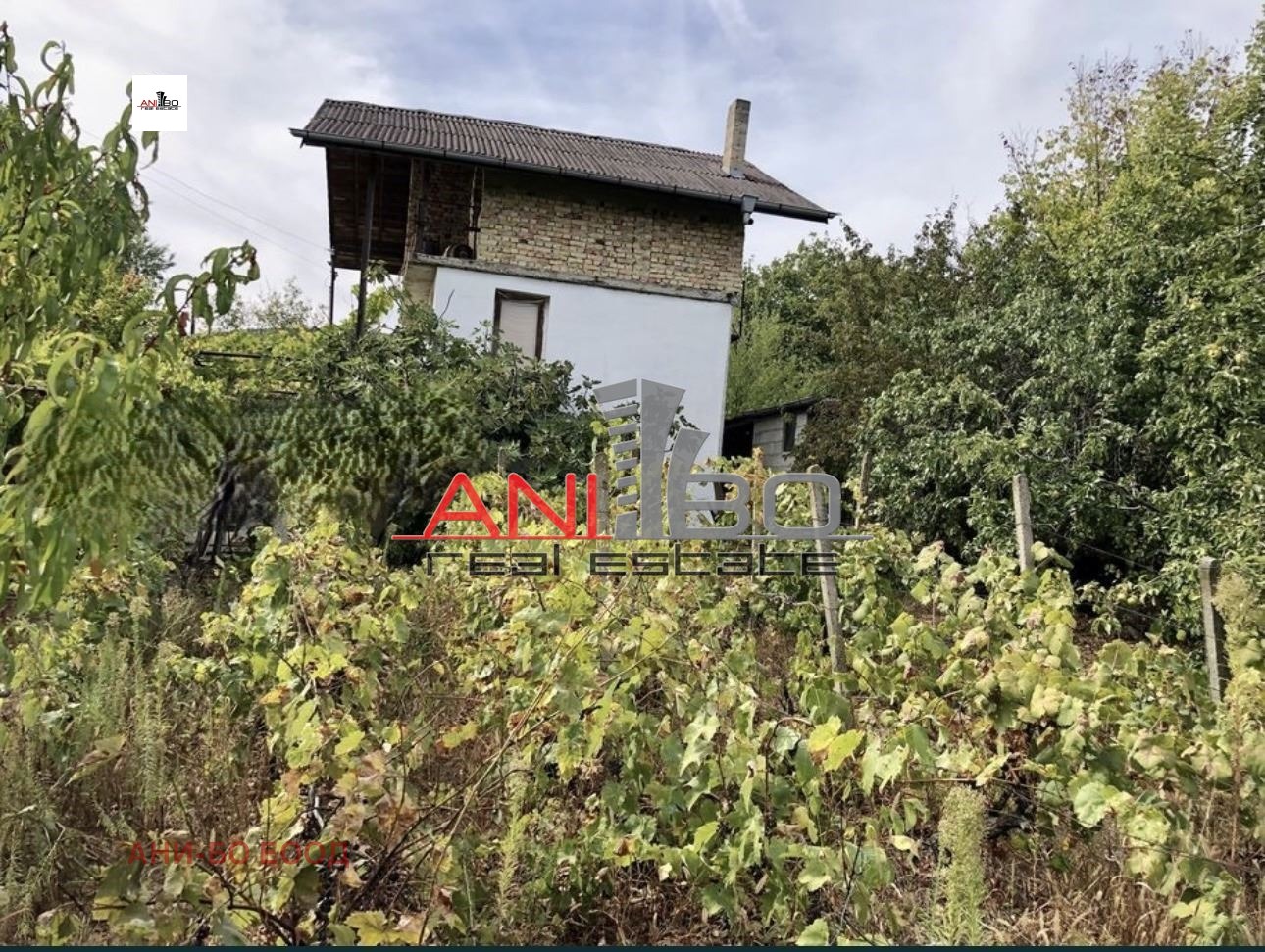 ������� ���� | Imot.bg � ����������� 7