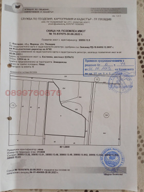 ПАРЦЕЛ, 13 000 m2