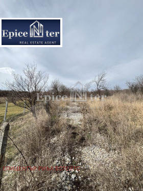 ����� ������� ������,�. ��������, ������ ������