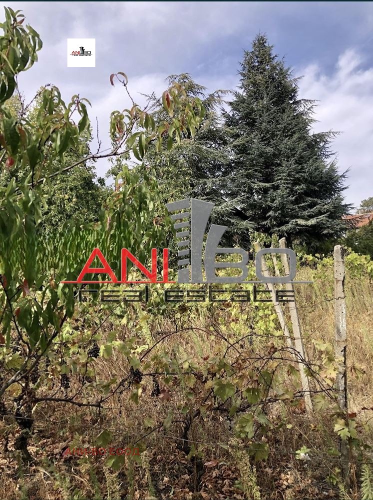 Продава КЪЩА, гр. Варна, м-т Манастирски рид, снимка 10 - Къщи - 53682369