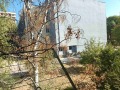 Продава 3-СТАЕН, гр. Бобов дол, област Кюстендил, снимка 17
